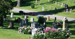 Highland Biblical Gardens